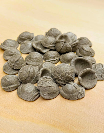 Puglian Burnt Wheat "Grano Arso" Orecchiette- 16pc Case